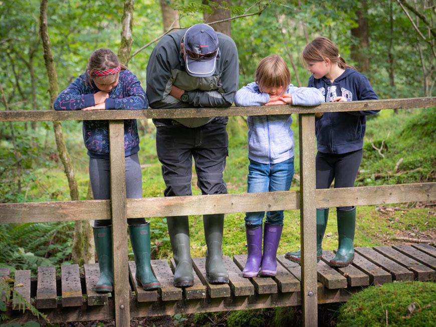 Best woodland walks in warm wellies